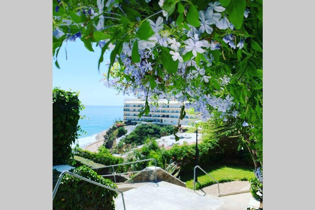 Amazing Frontline Sea Views Castillo Del Vigia Apartament *